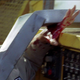 Image for article titled Lost Finale Recap: Jacob's Red Herring